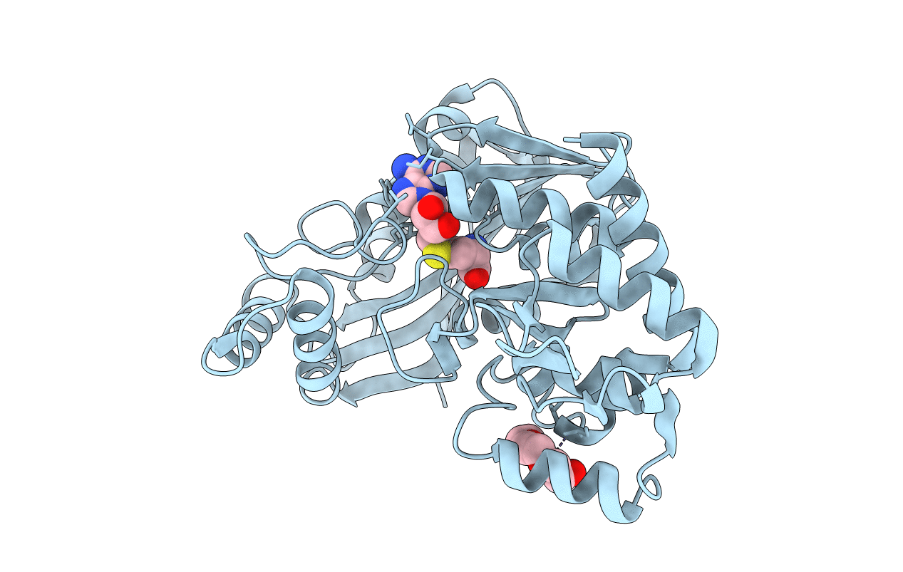 7RC5 image
