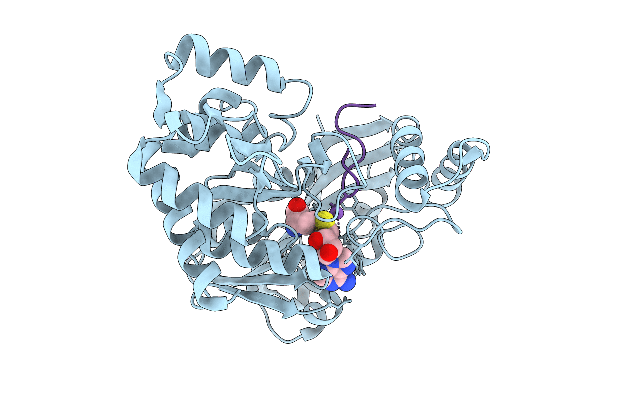 7RC6 image