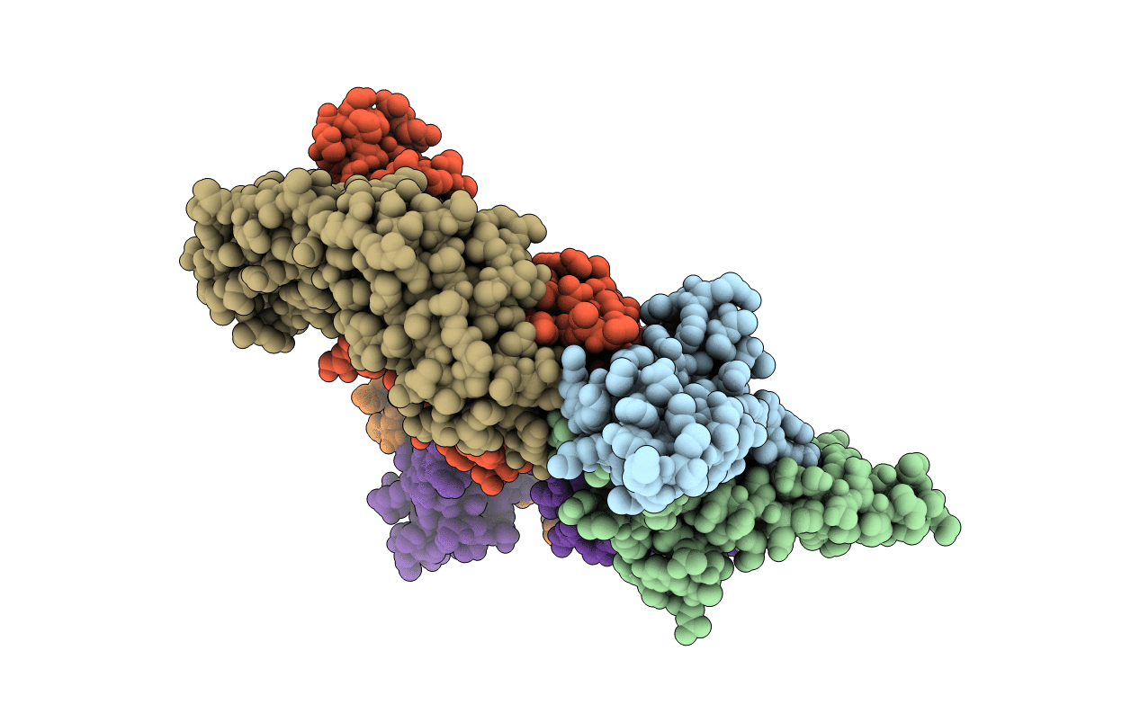 7RCO image