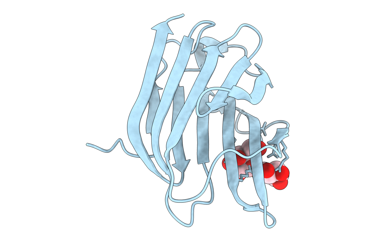 7RDP image