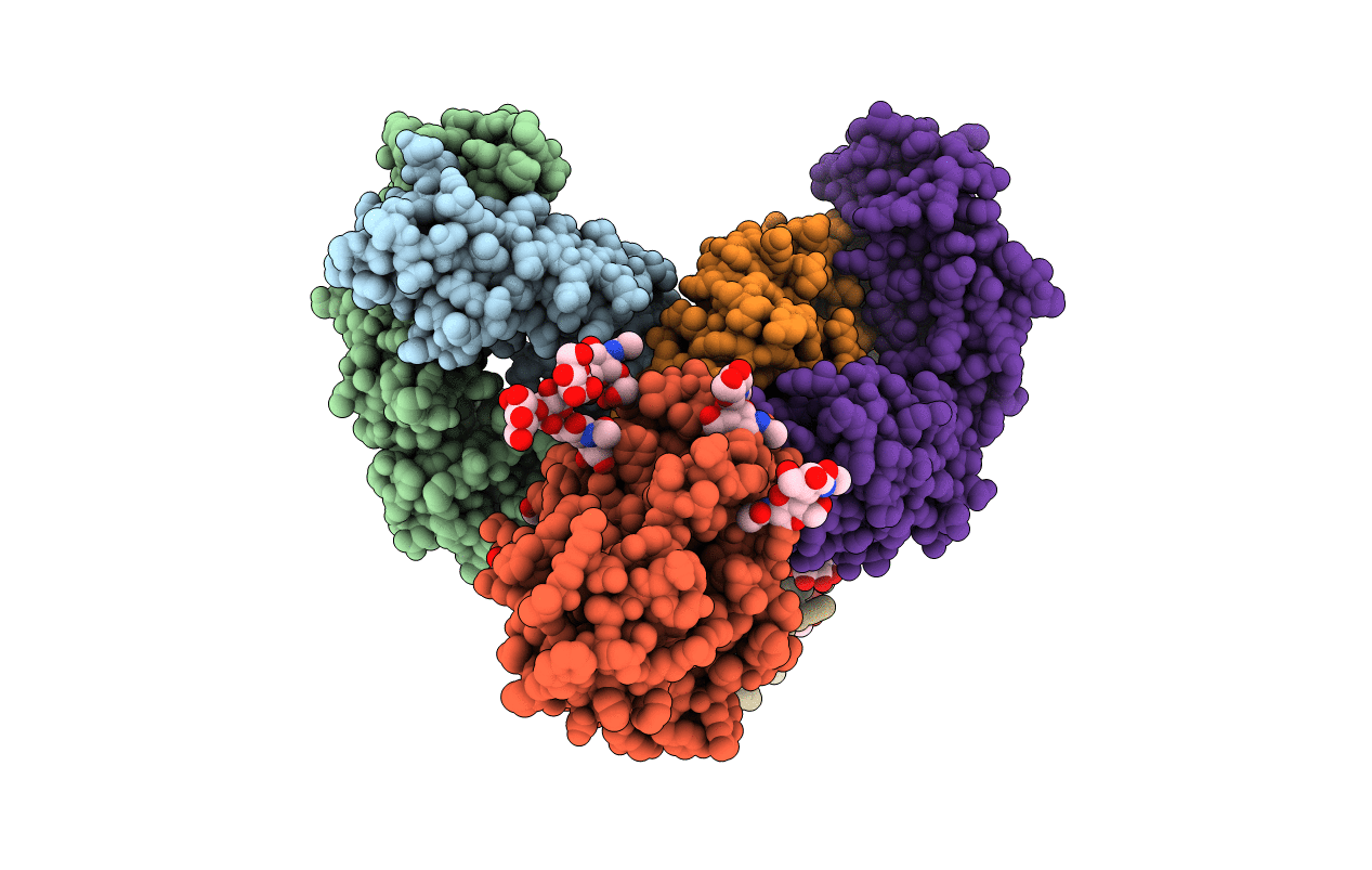 7RFC image