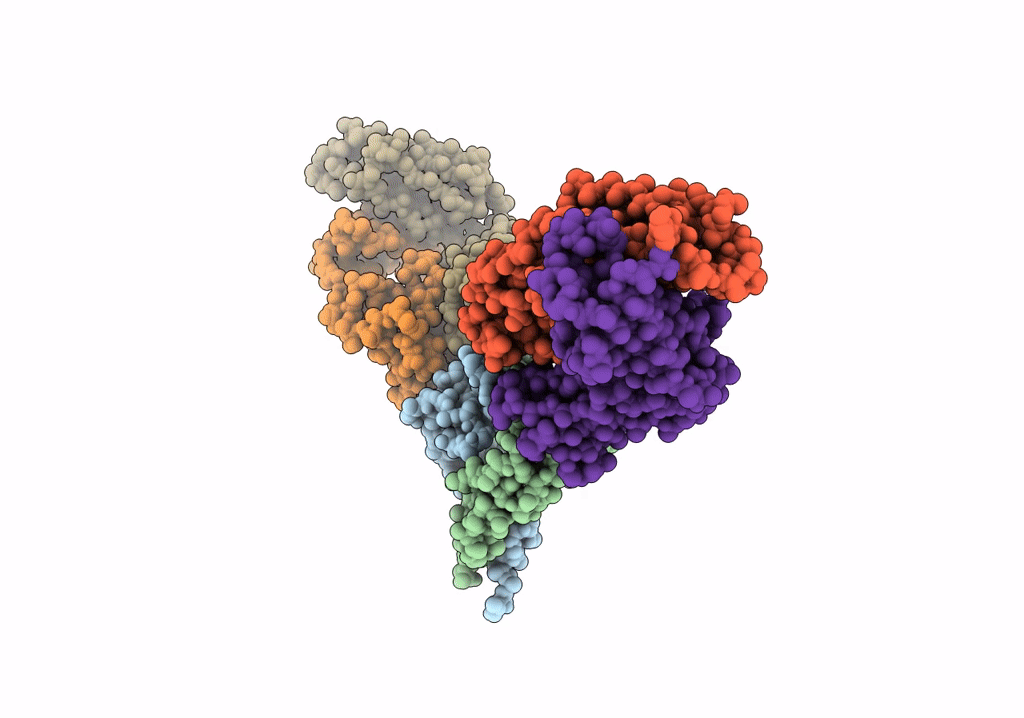 7RFP image