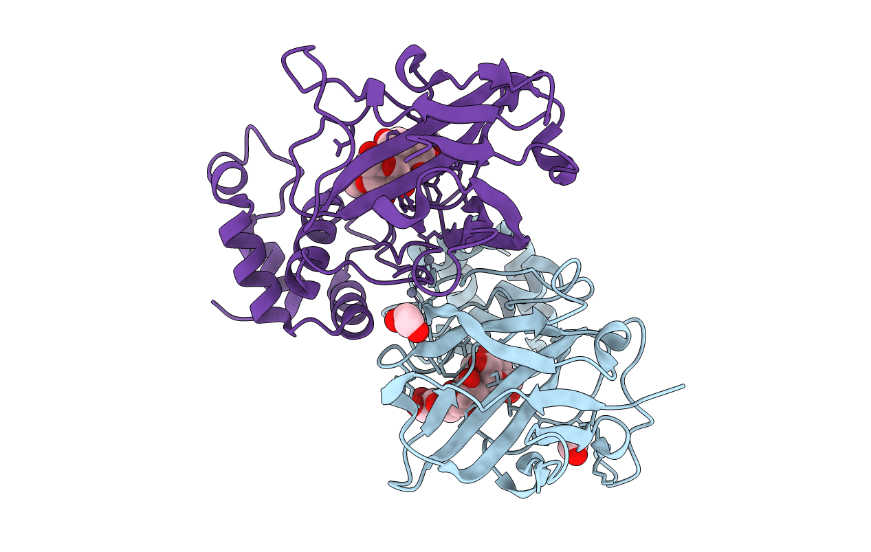 7RFT image