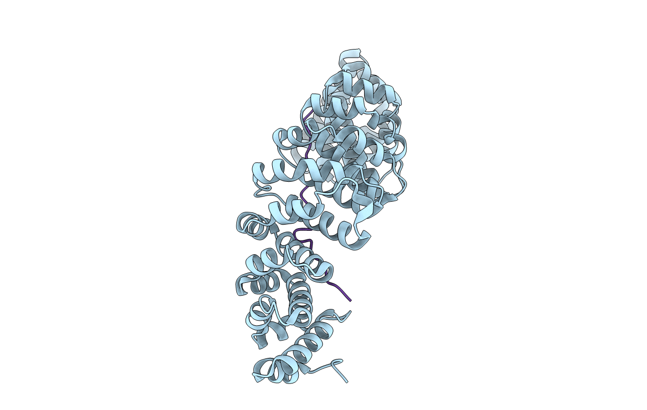 7RFX image