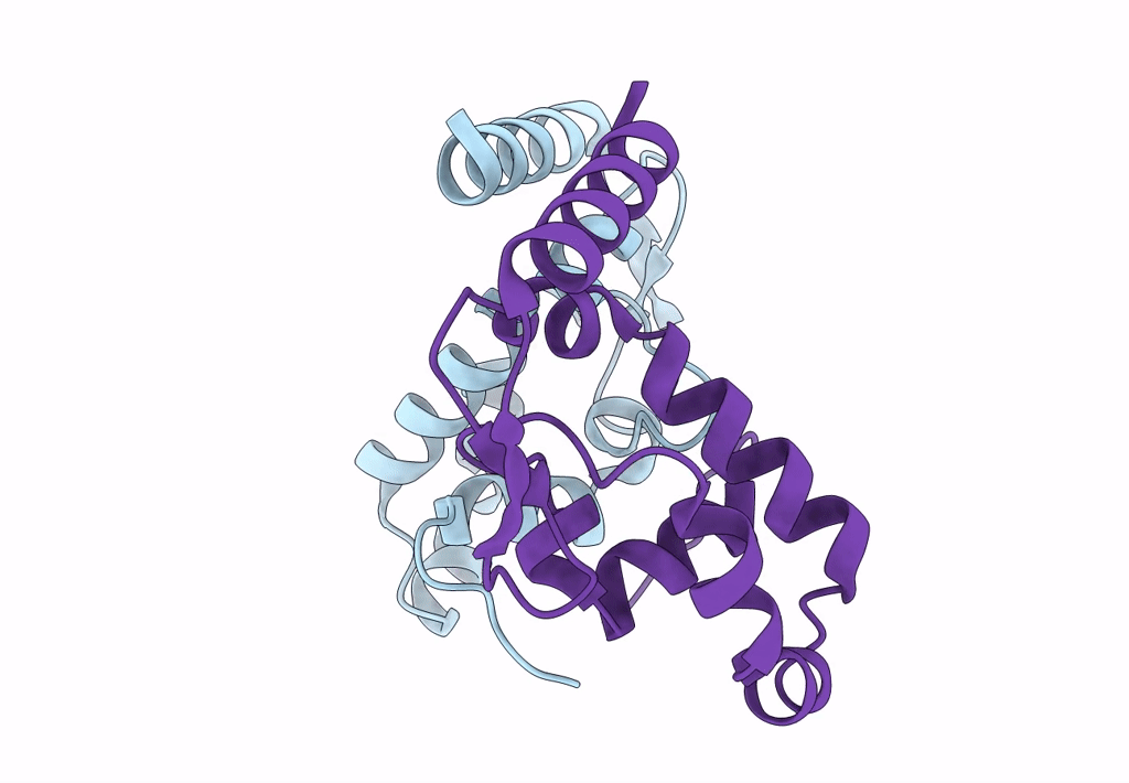 7RGS image