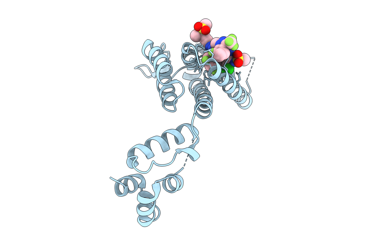 7RHN image