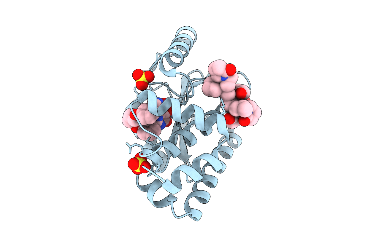 7RKP image
