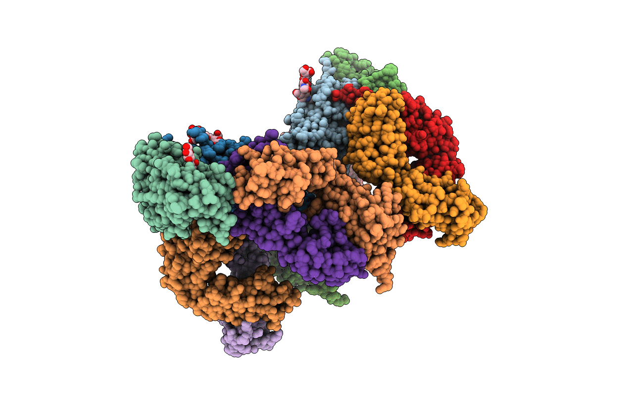 7RKU image