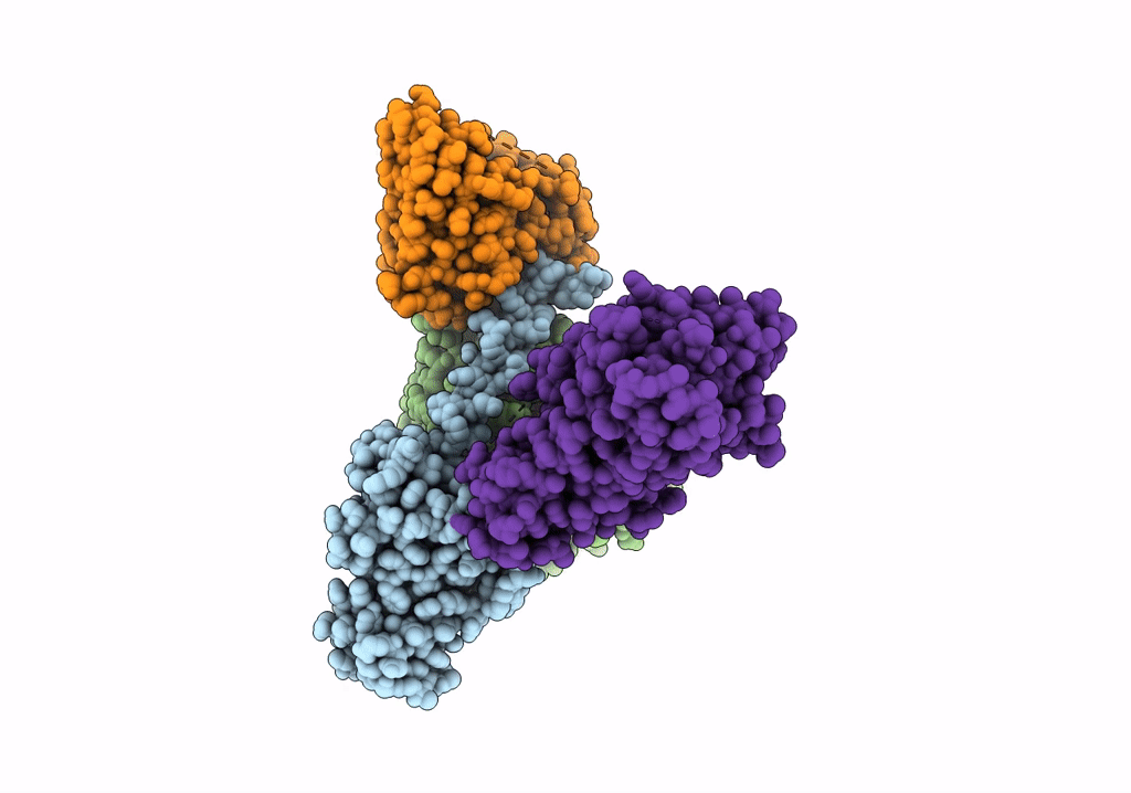 7RKX image