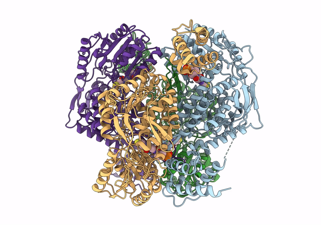 7RLT image