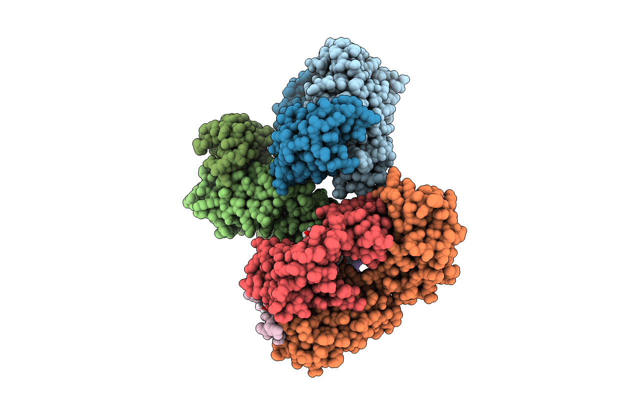 7RLV image