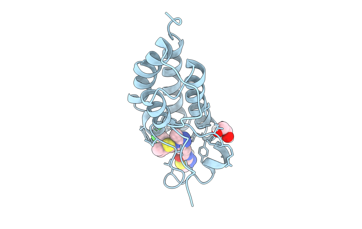 7RMD image