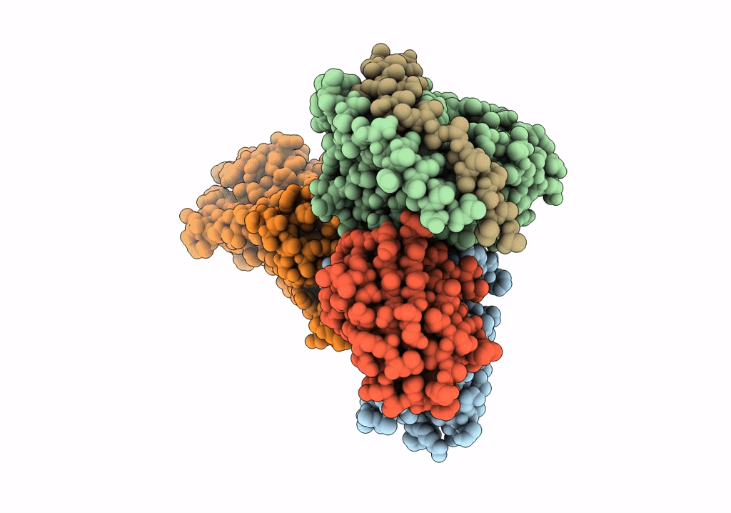 7RMI image