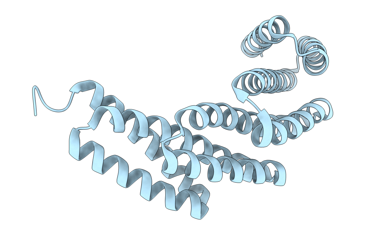 7RMX image