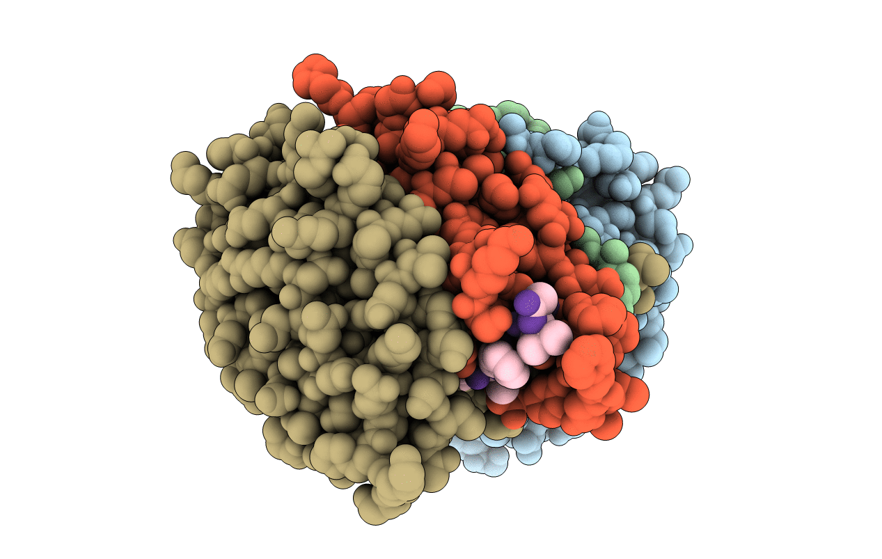 7RN9 image