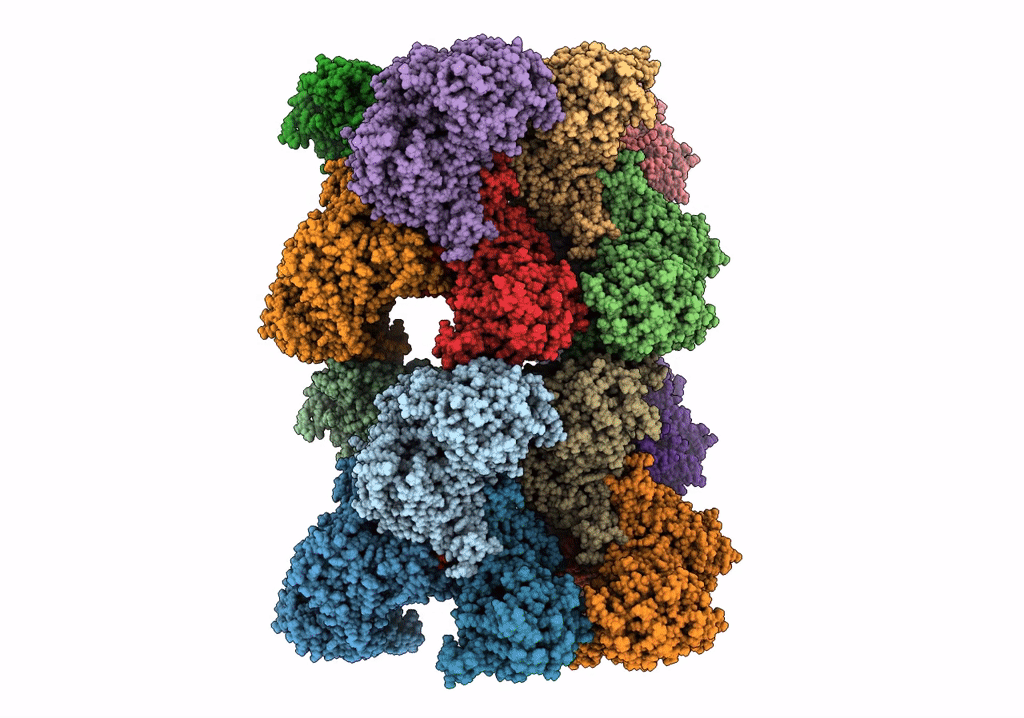 7RNL image