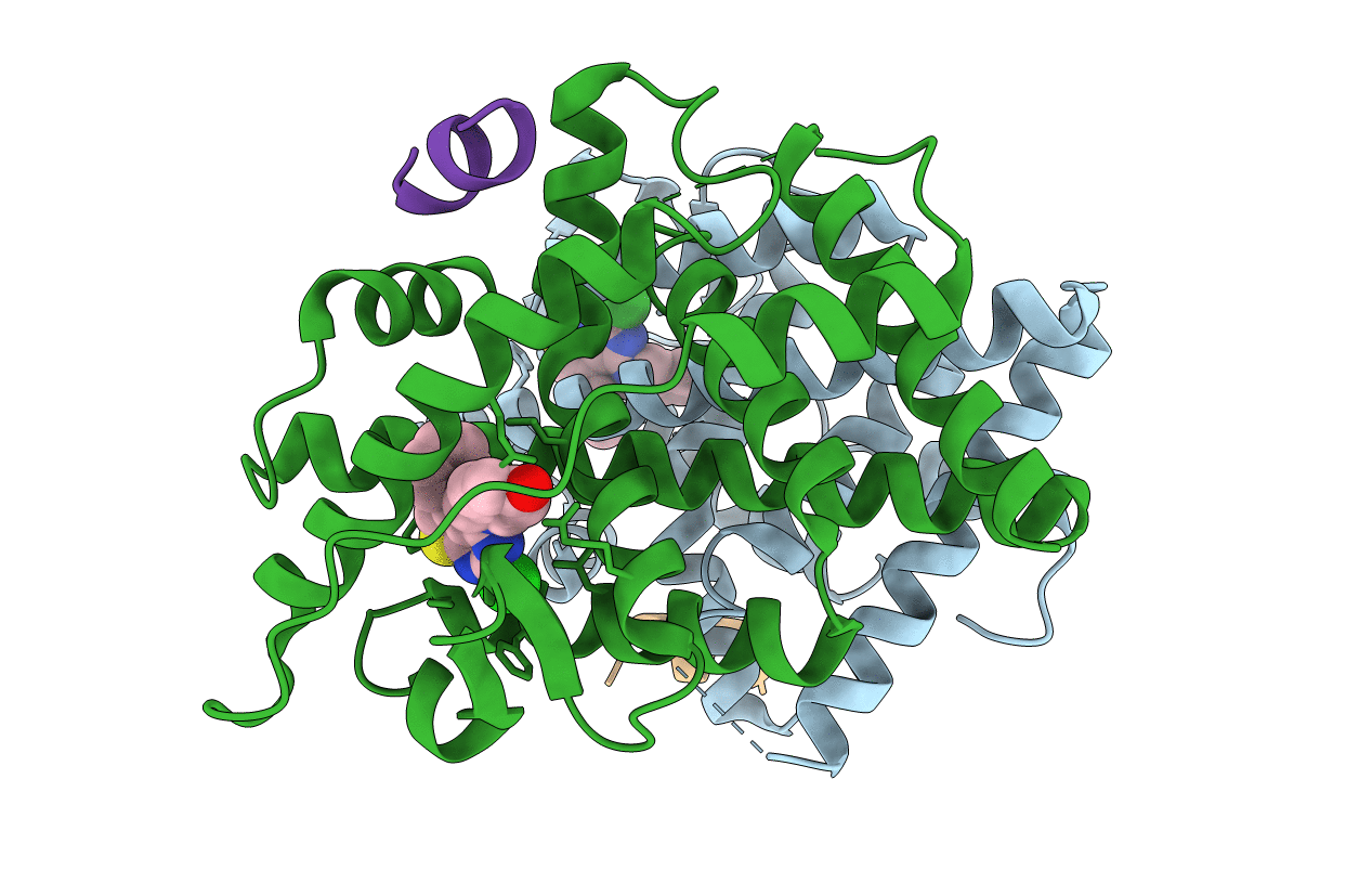 7RNM image