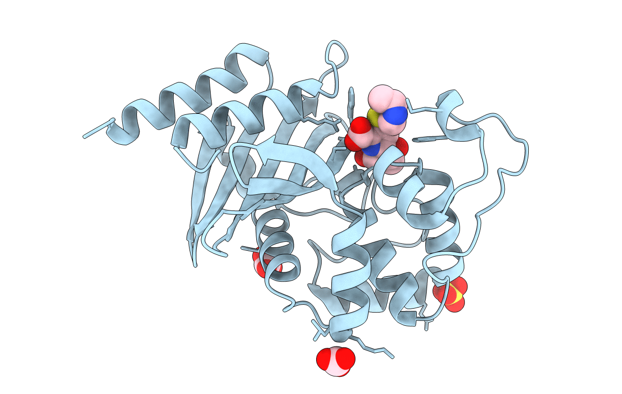 7RPD image