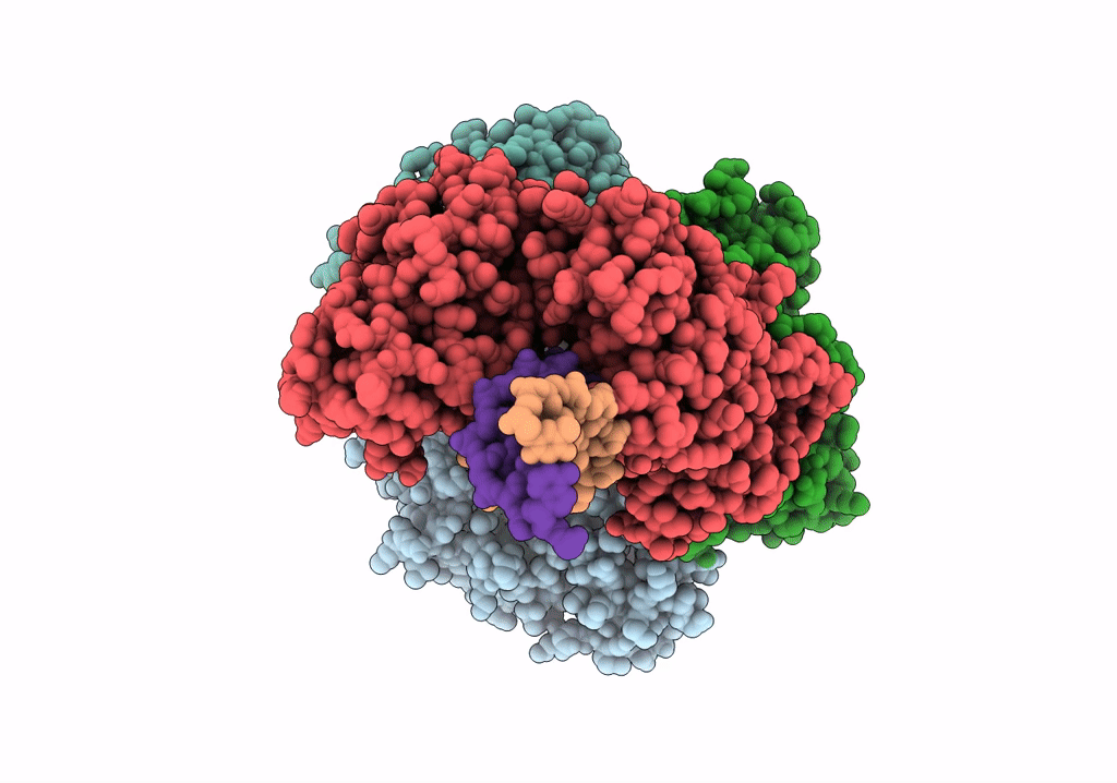 7RPO image