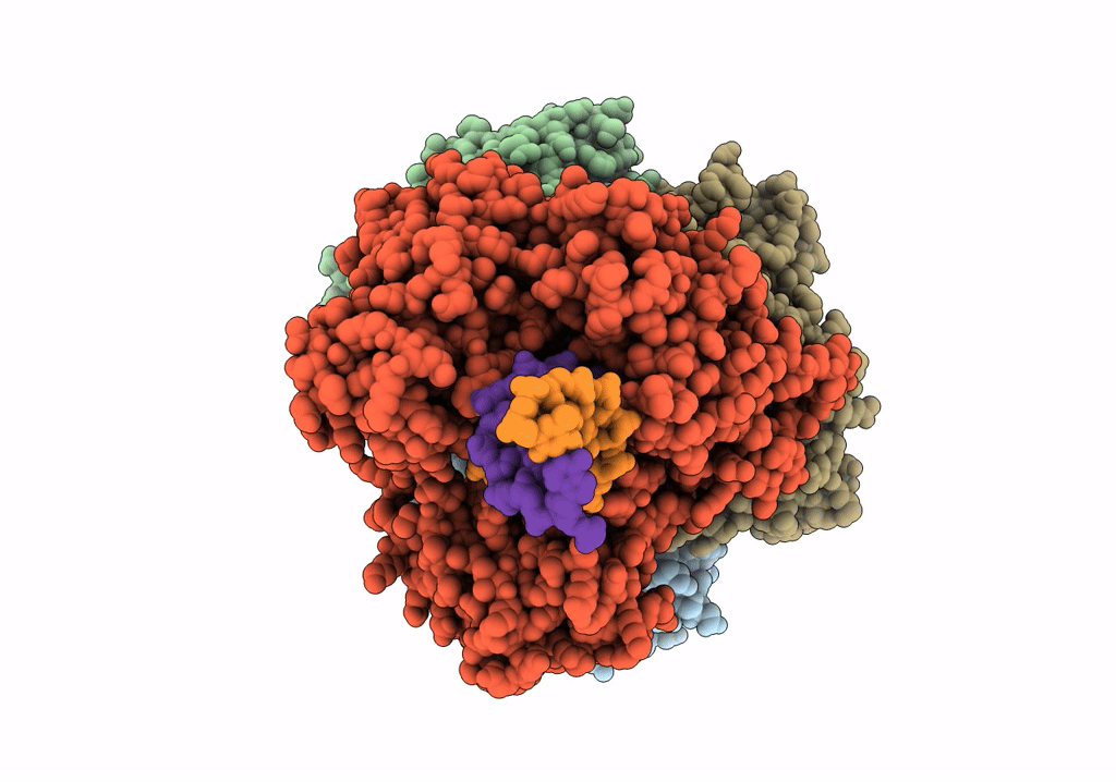 7RPX image