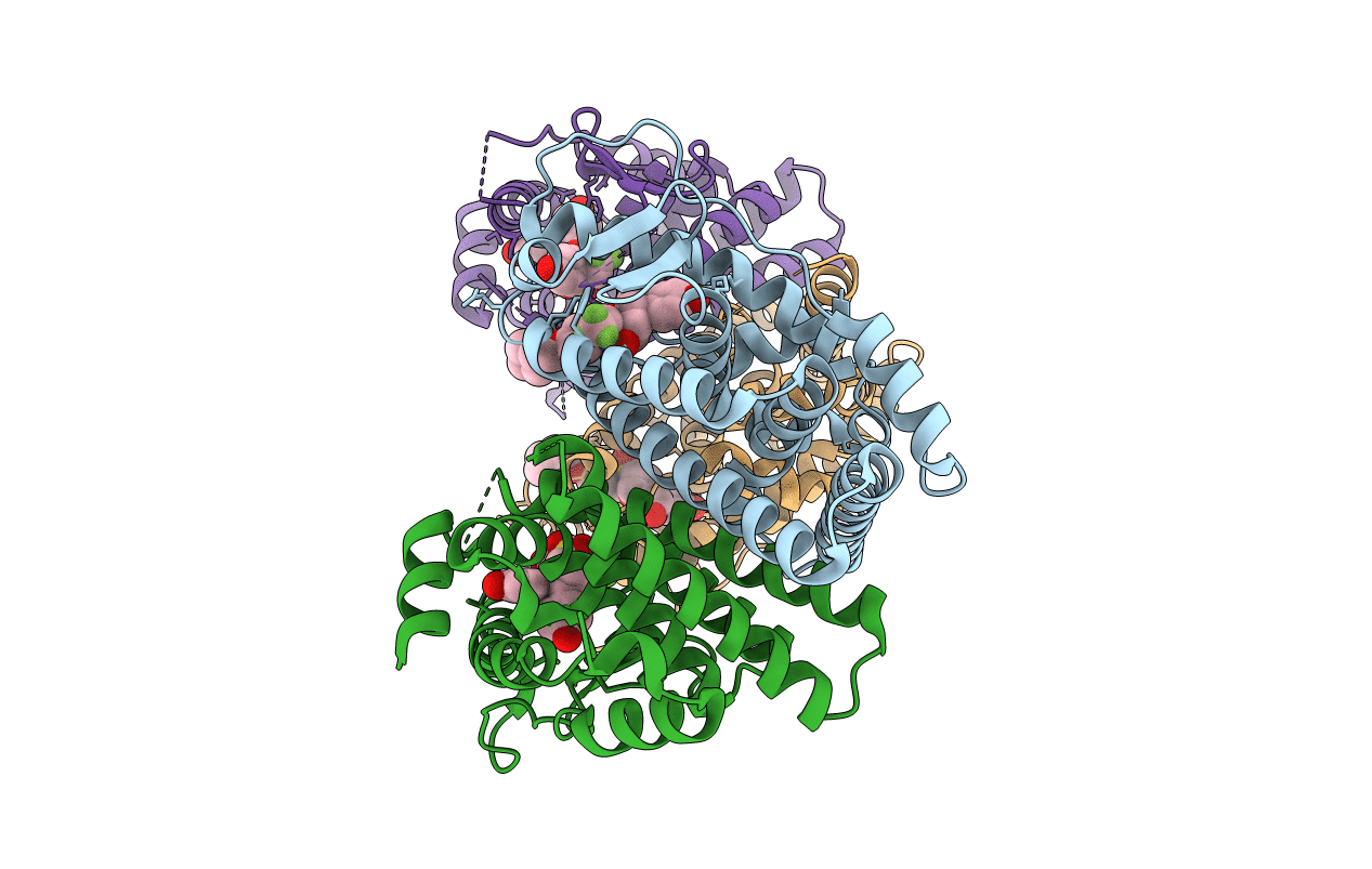 7RRX image