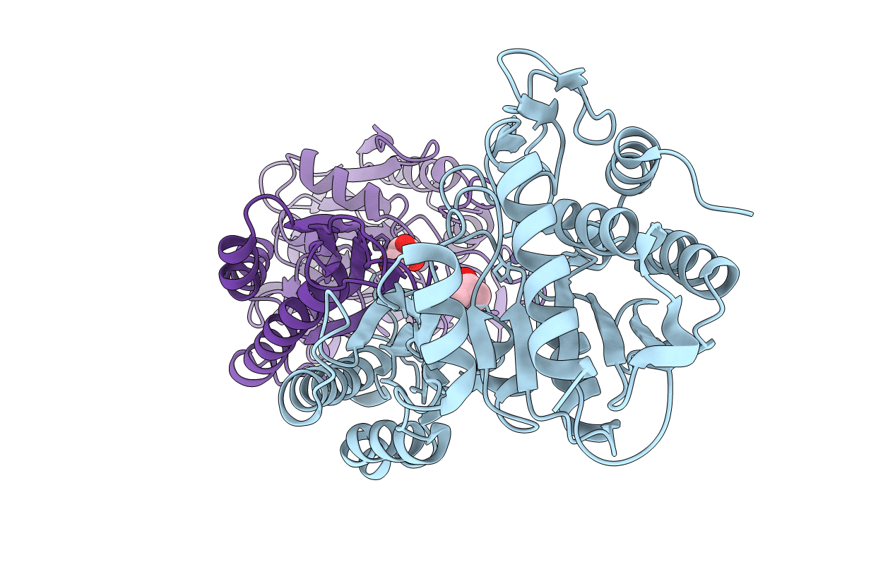 7RSF image