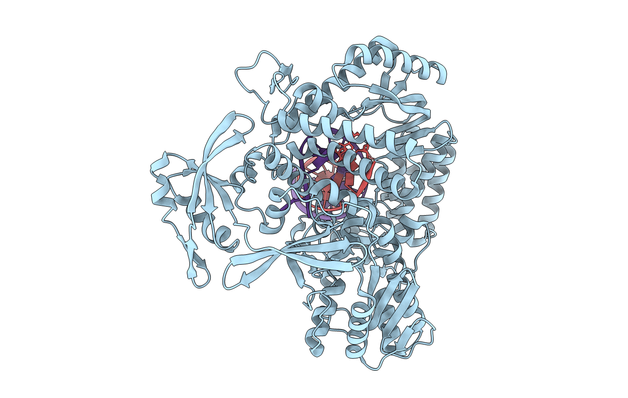 7RSR image