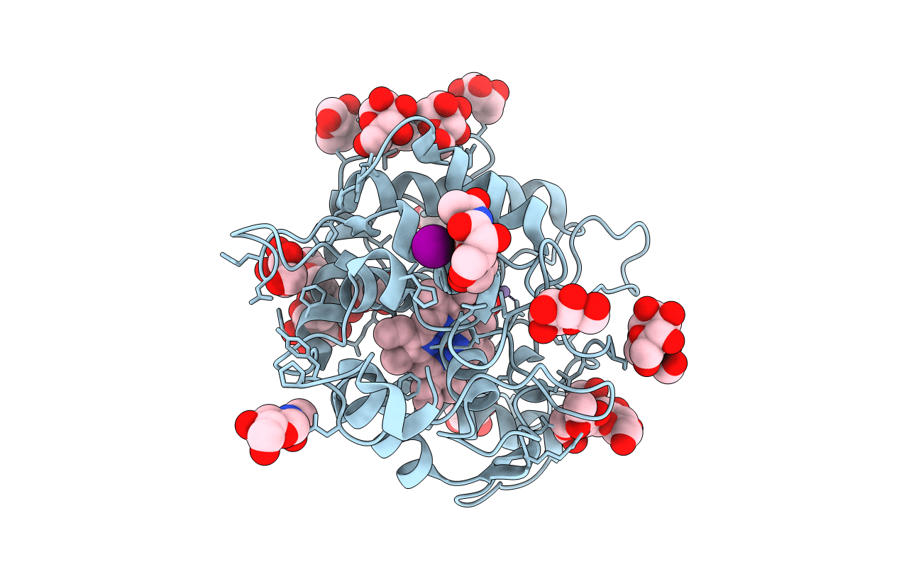 7RST image