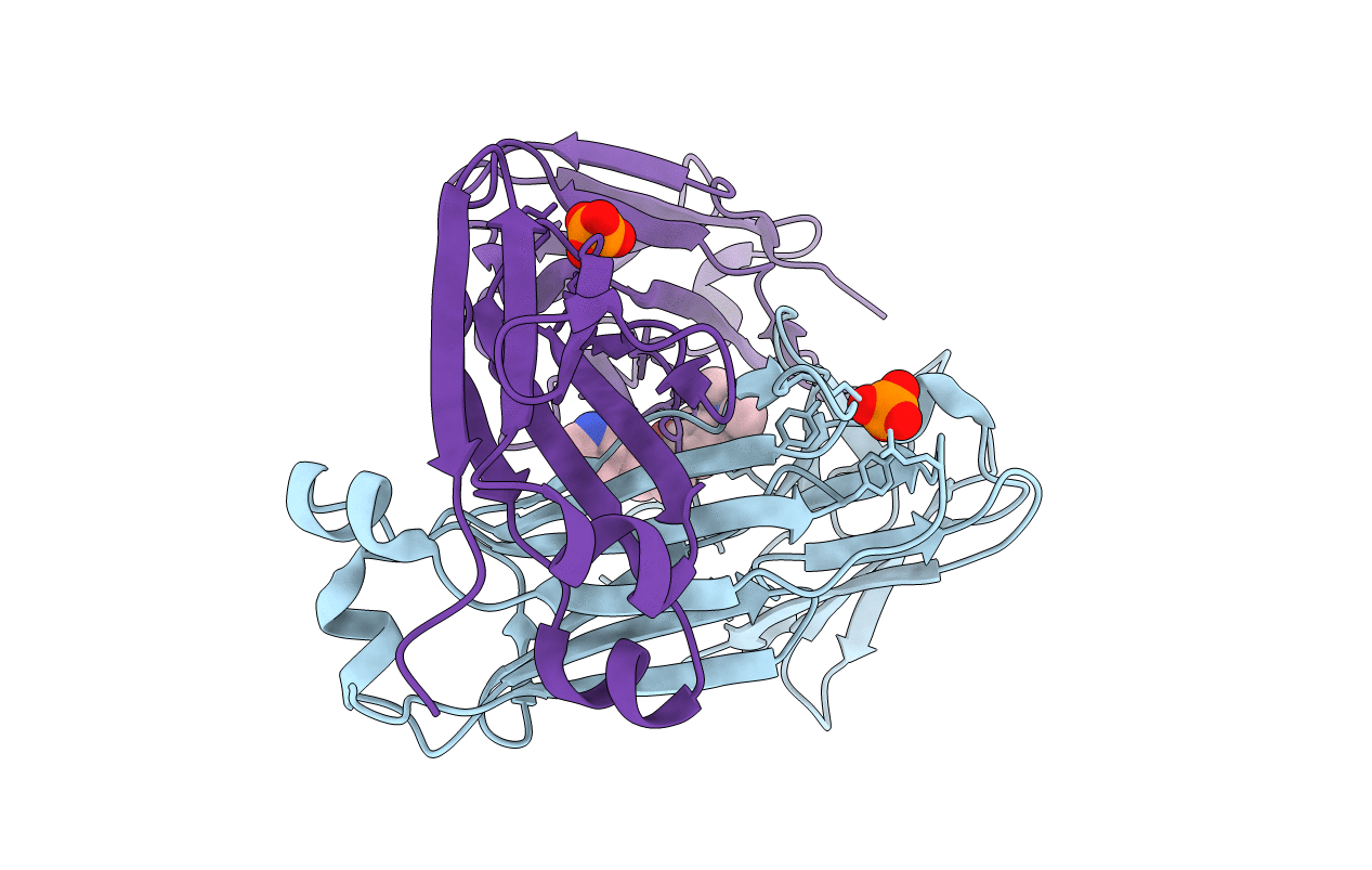 7RTP image