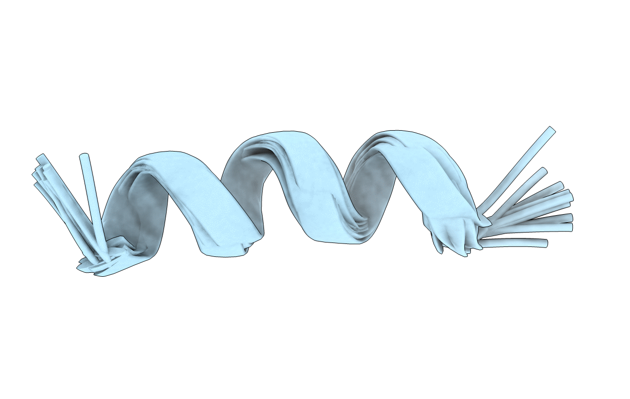 7RUL image