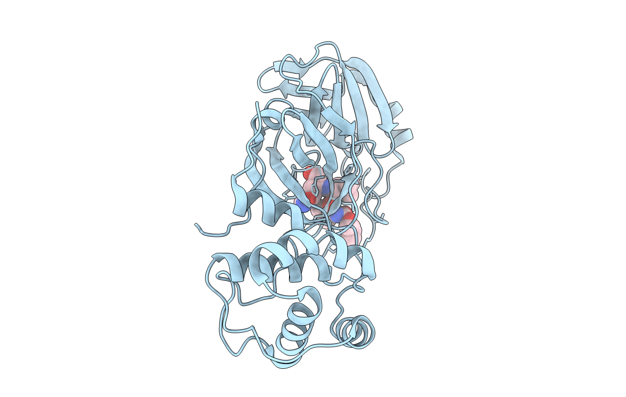 7RVM image