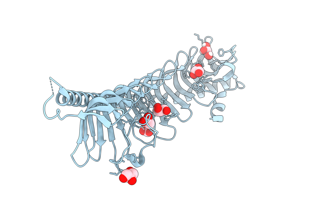 7RW4 image