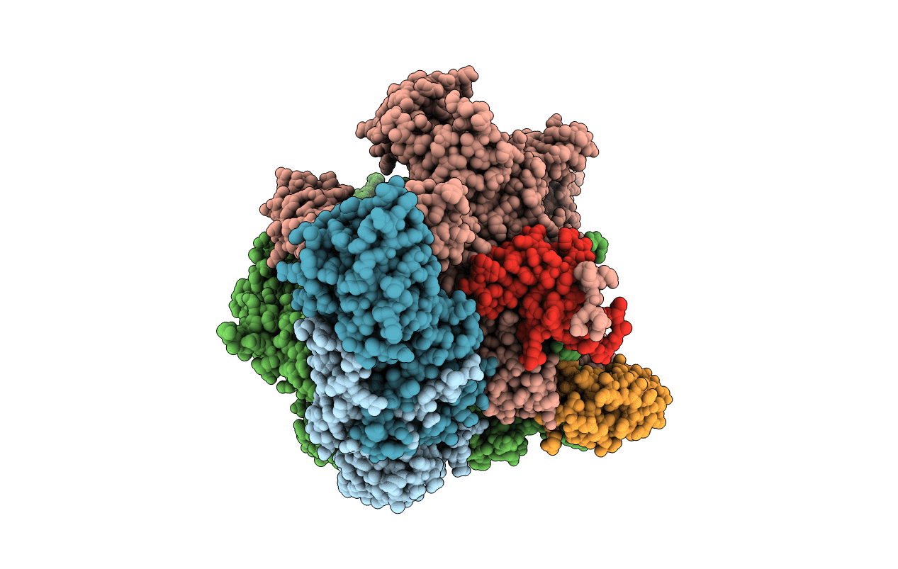 7RWI image