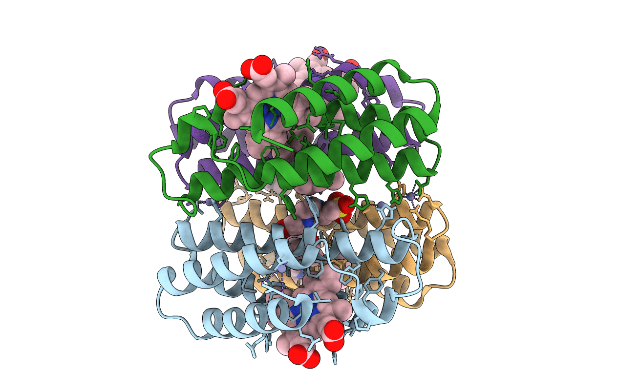 7RWW image