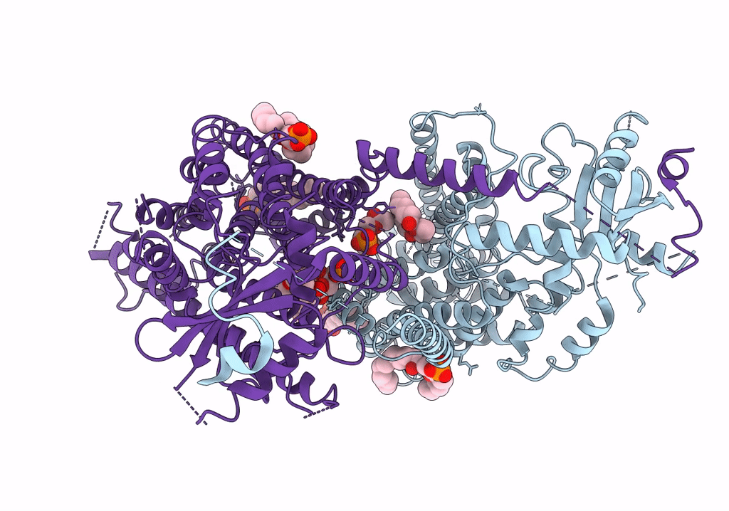 7RXB image