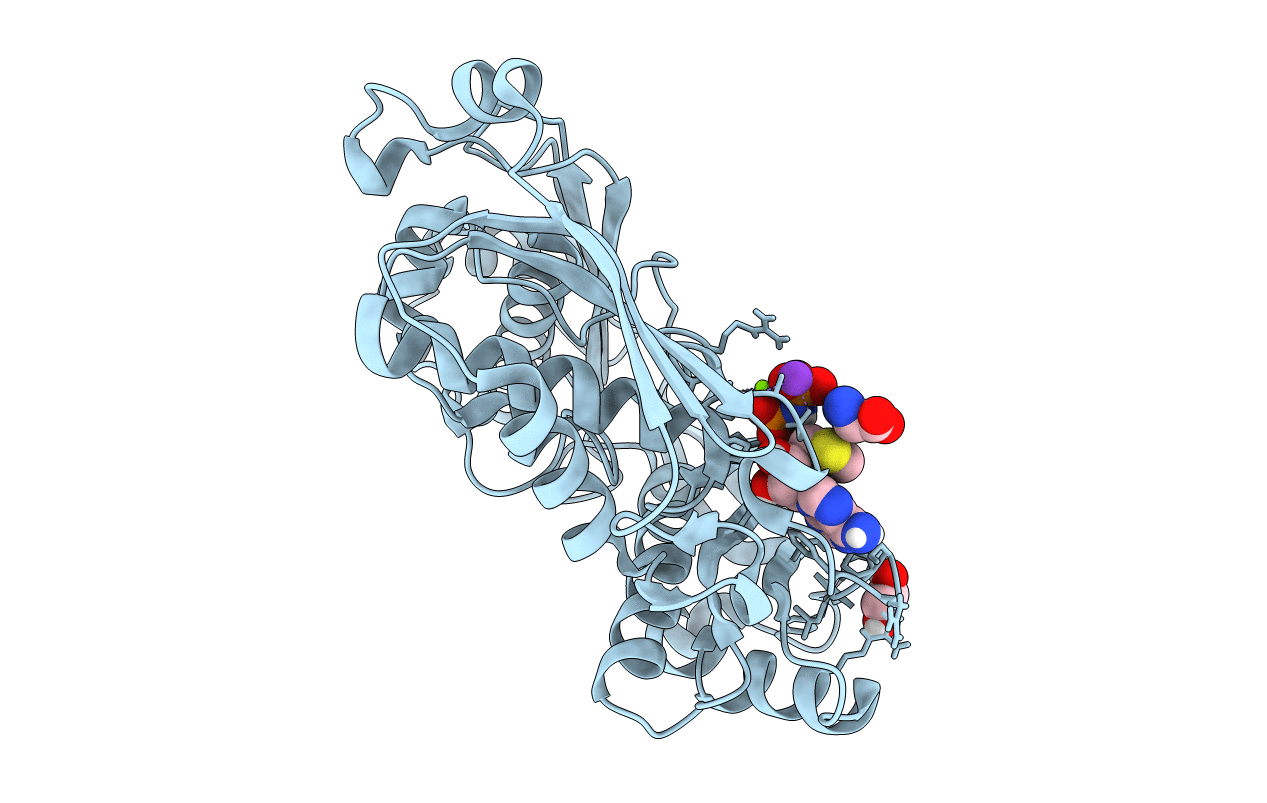7RXW image