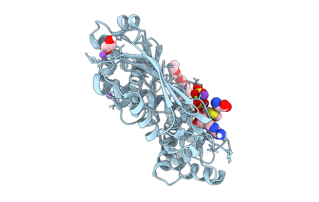 7RXX image
