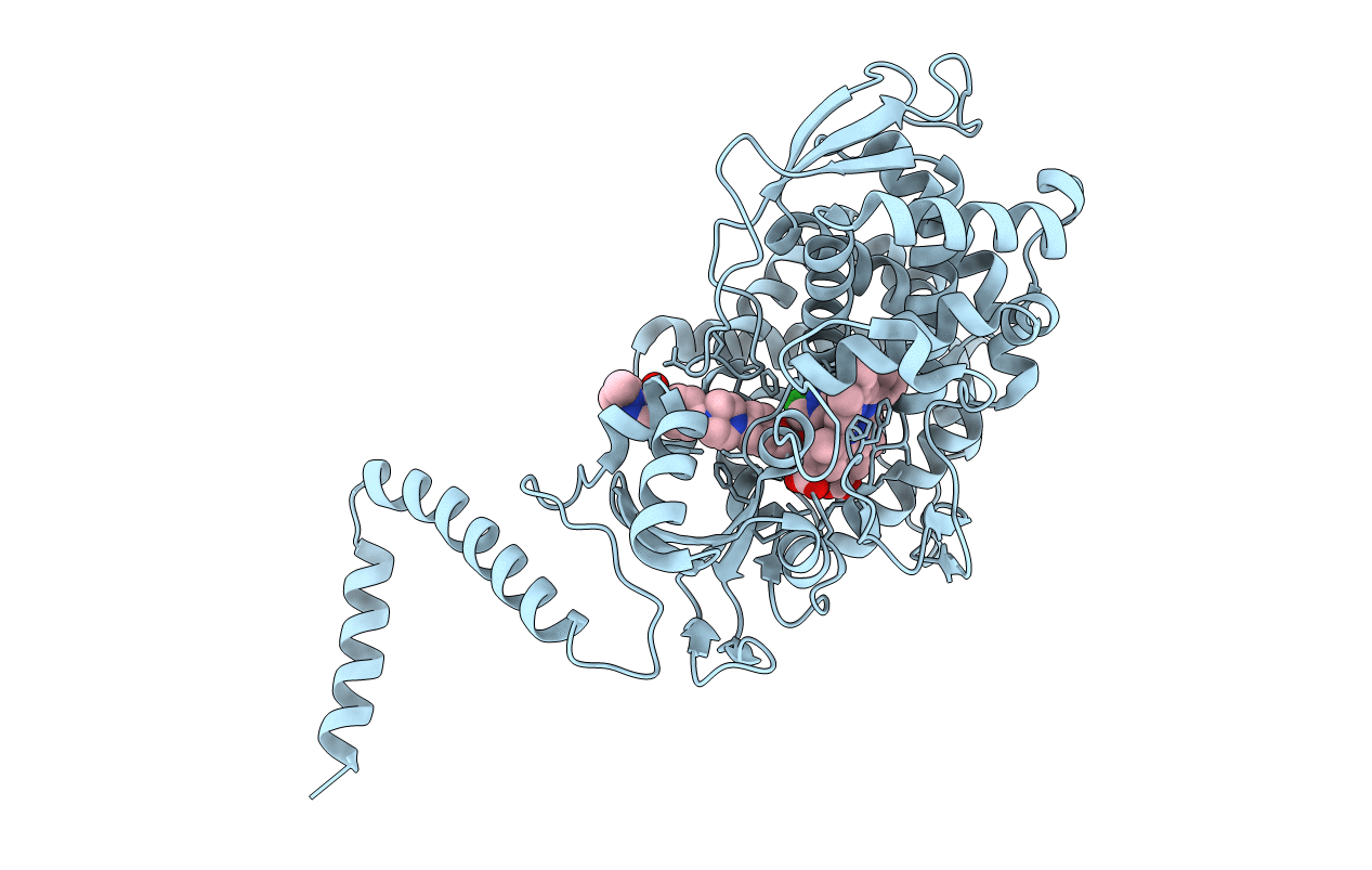 7RYA image