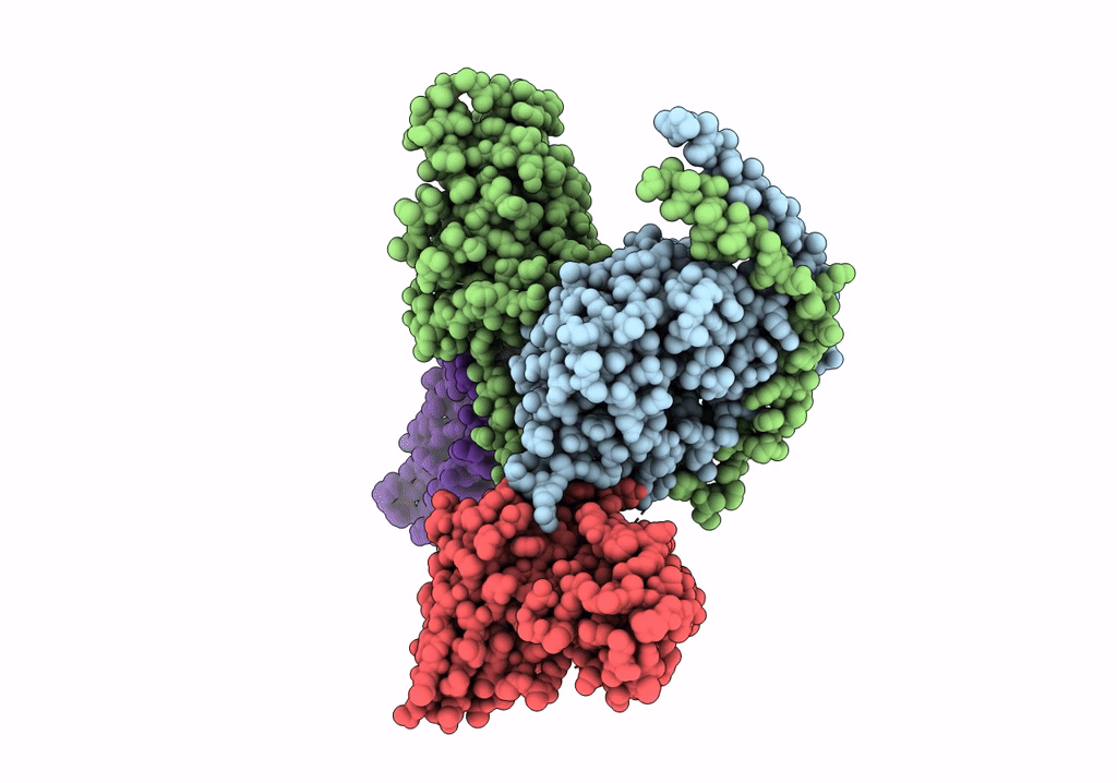 7RYC image