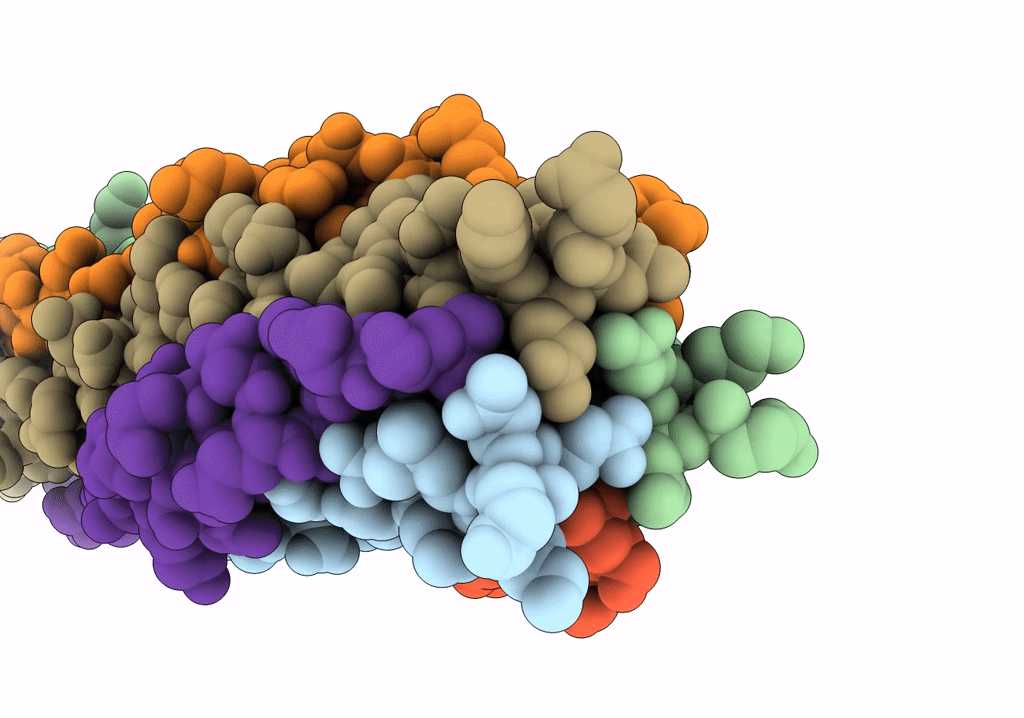 7RZT image