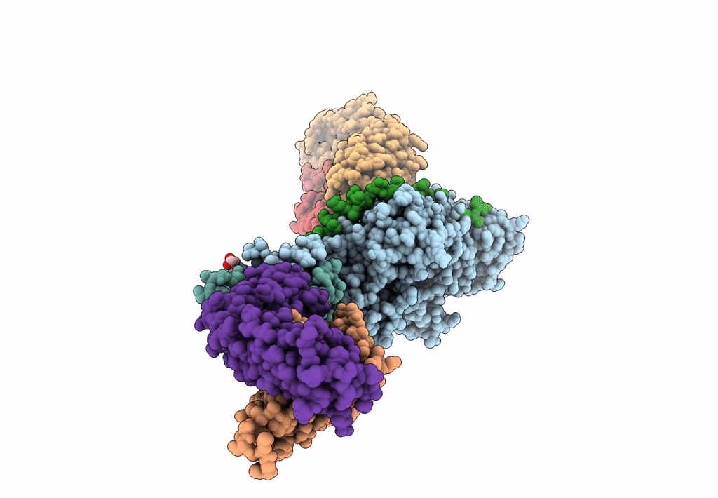7S1B image