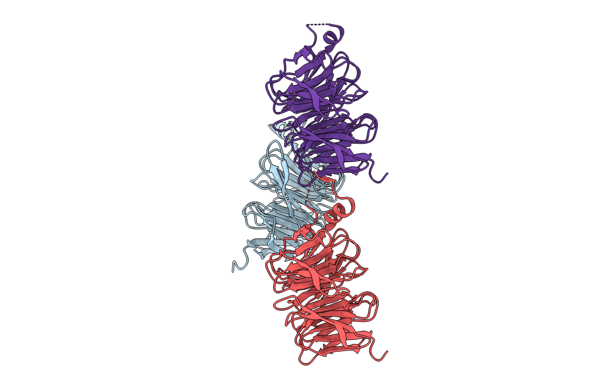 7S23 image