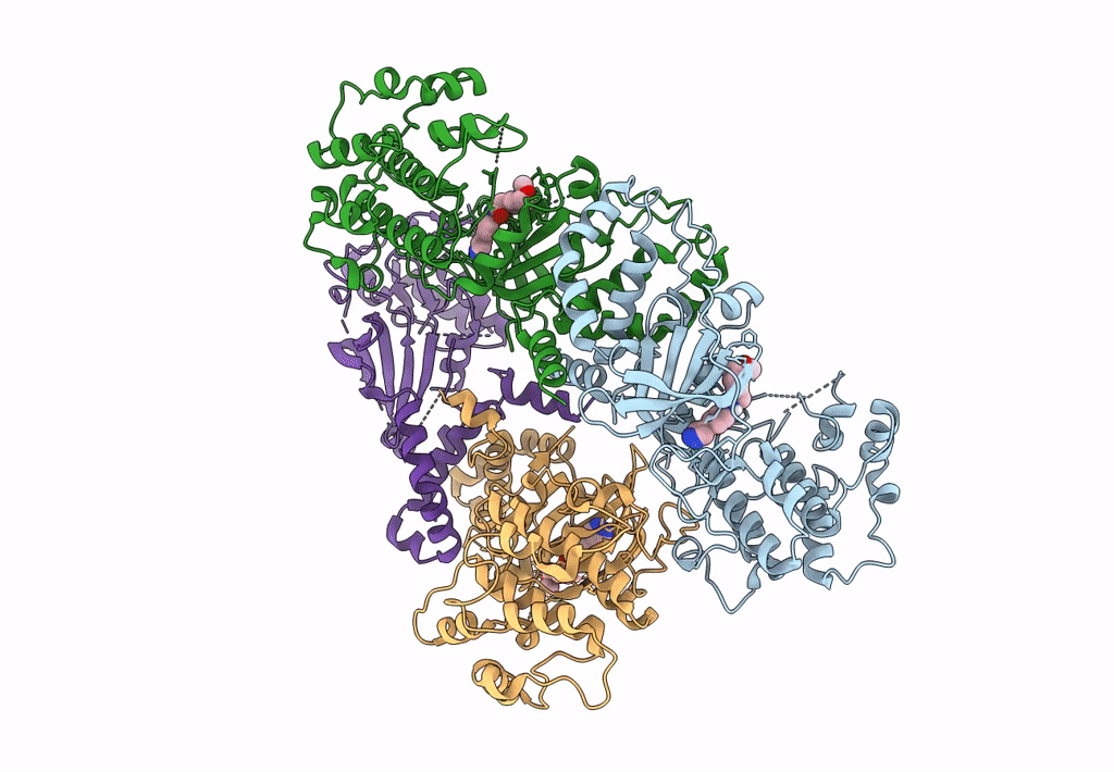 7S25 image