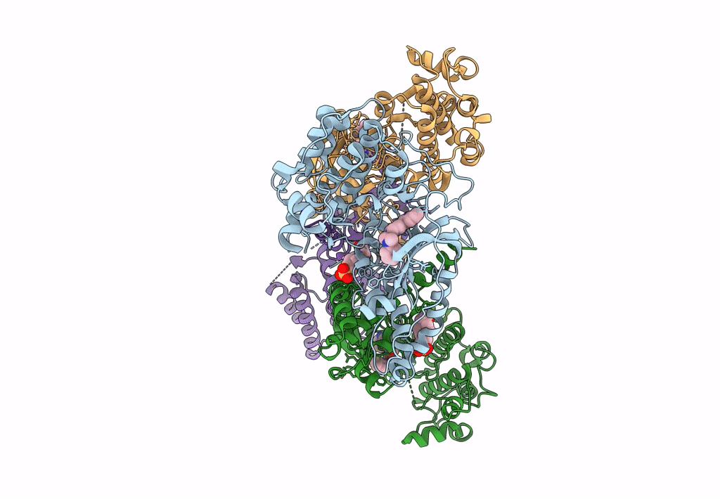 7S26 image