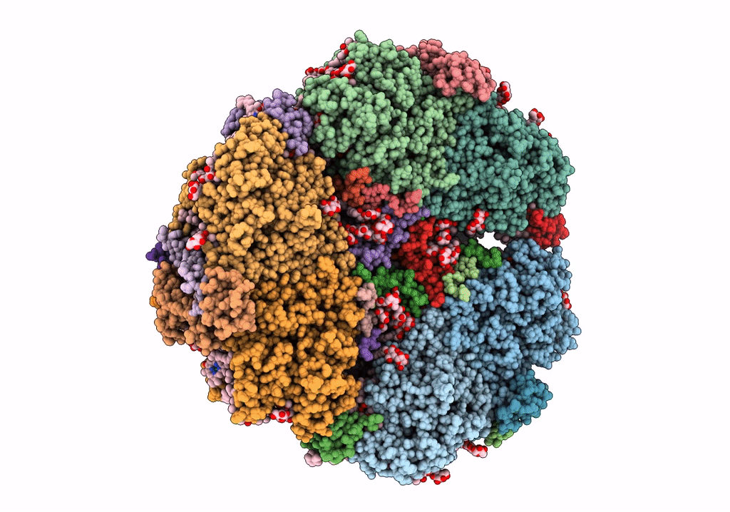 7S3D image