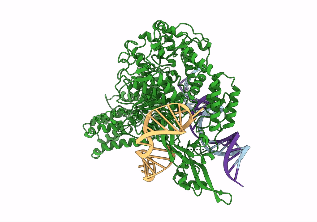 7S3H image