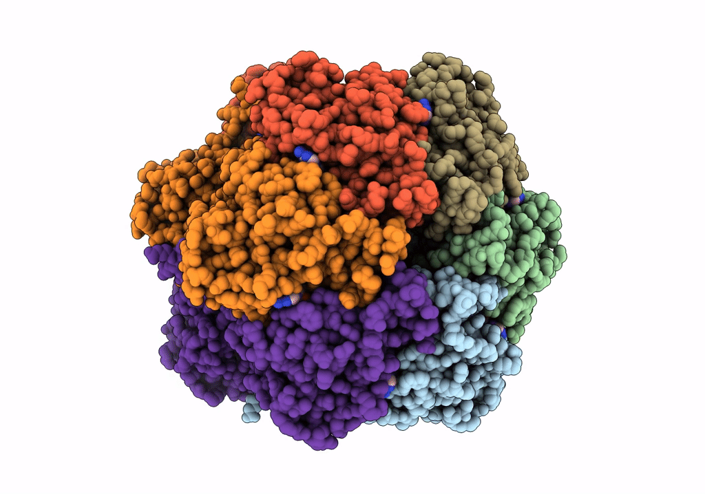 7S66 image