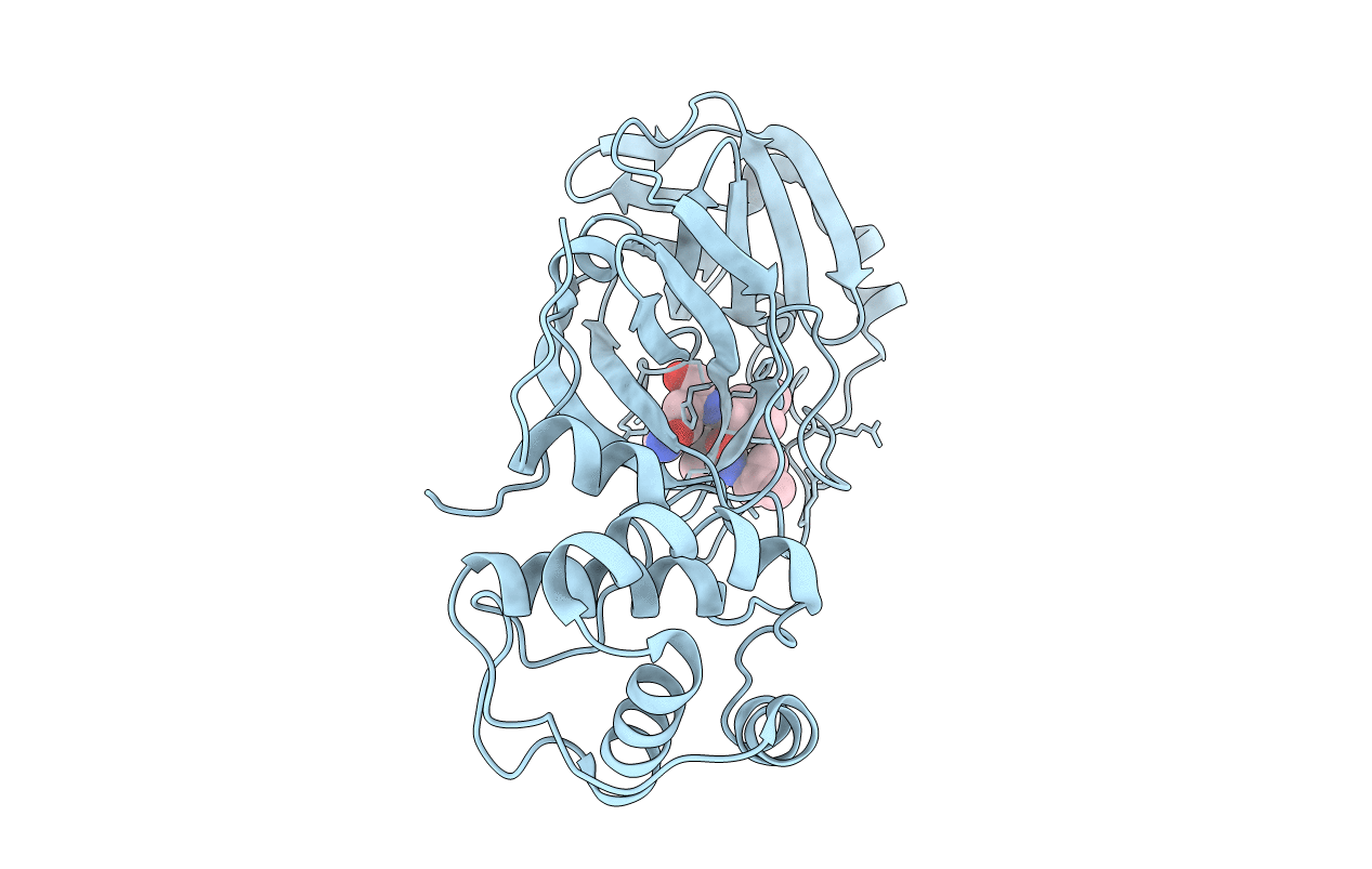 7S75 image
