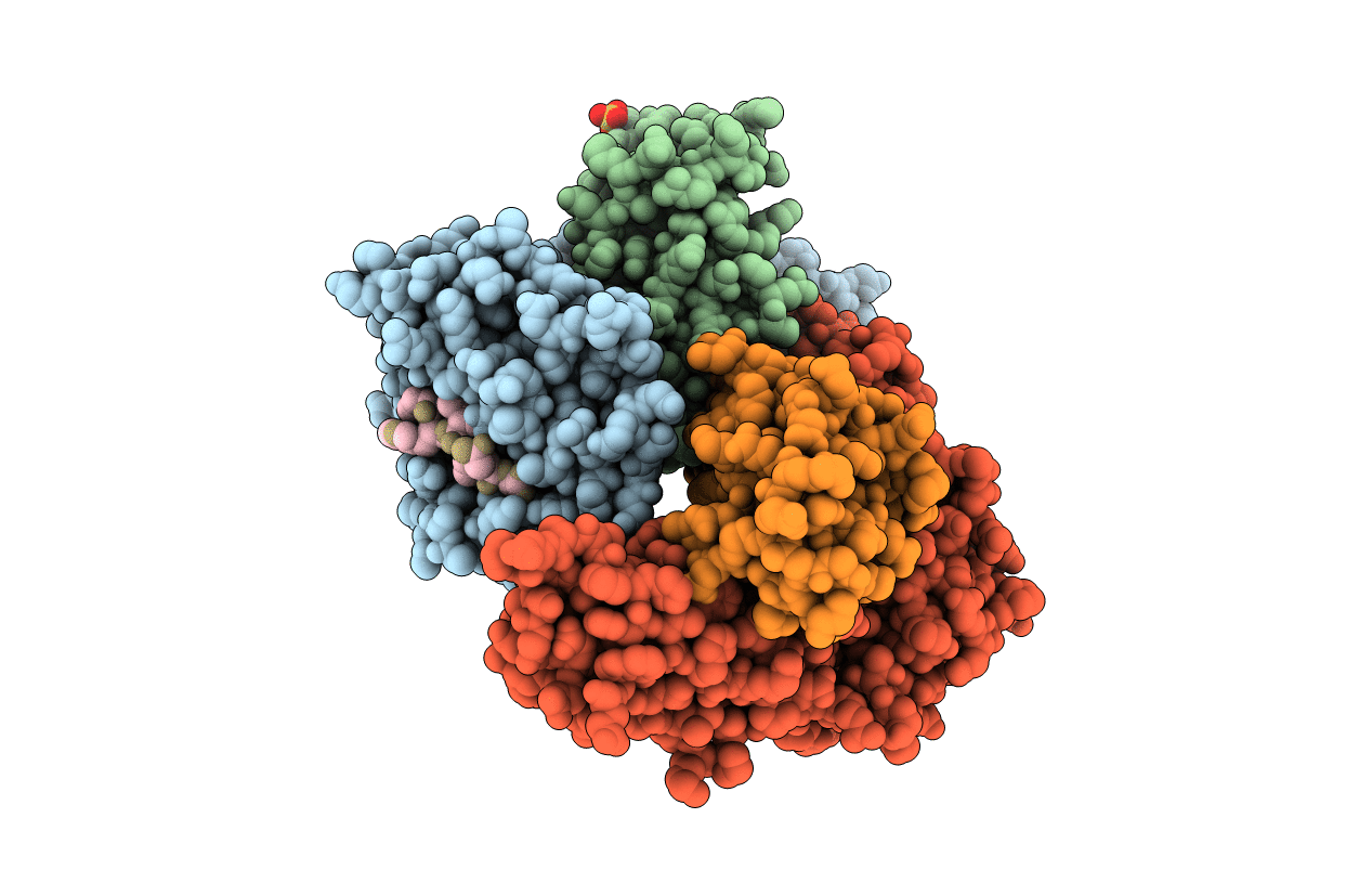 7S8R image