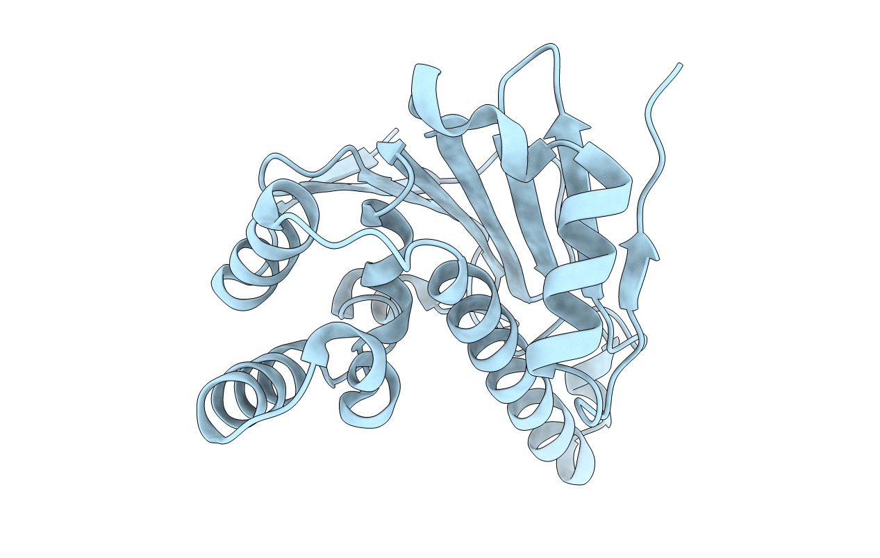 7S8Z image